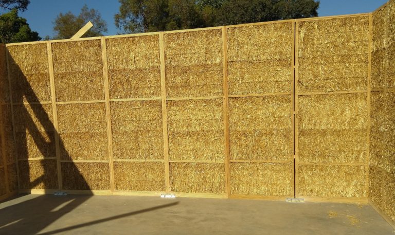07 Leis Copy 768x457